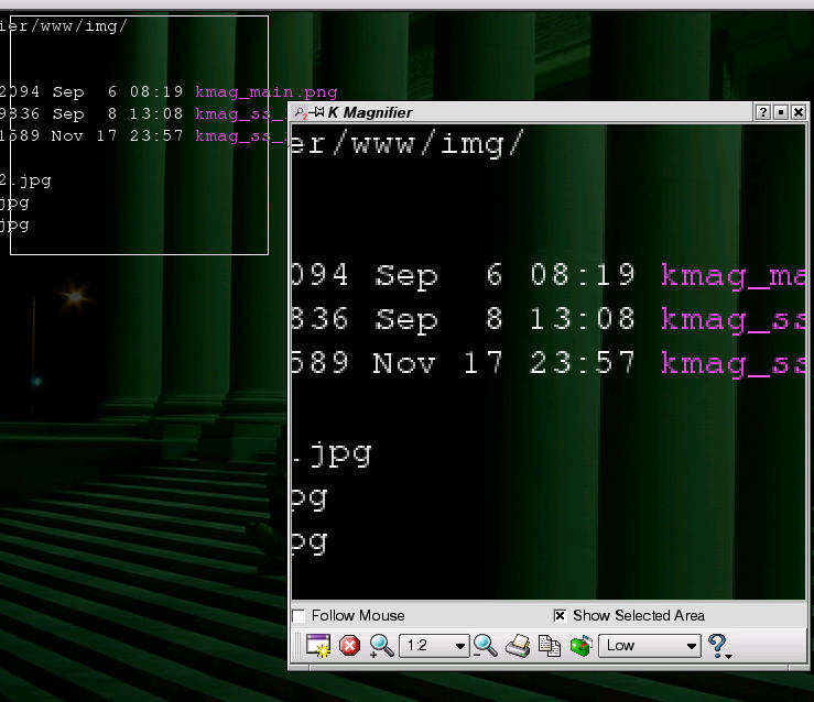 Screenshot of KMagnifier